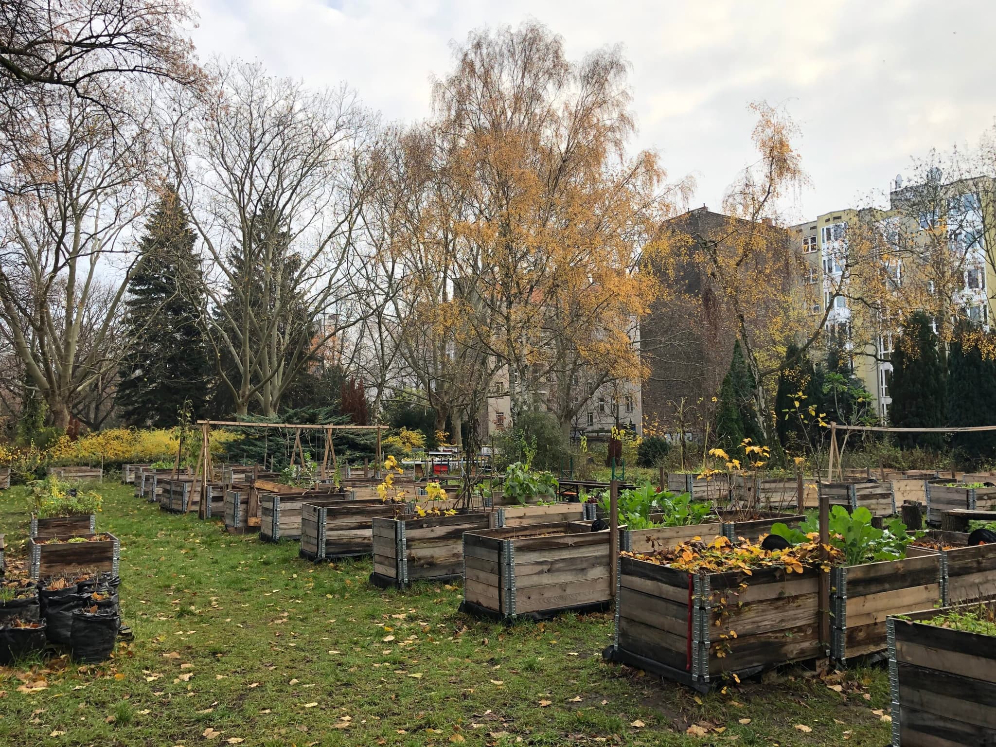 Prinzessinnengärten at Neuer St. Jacobi Friedhof, Berlin Neukölln