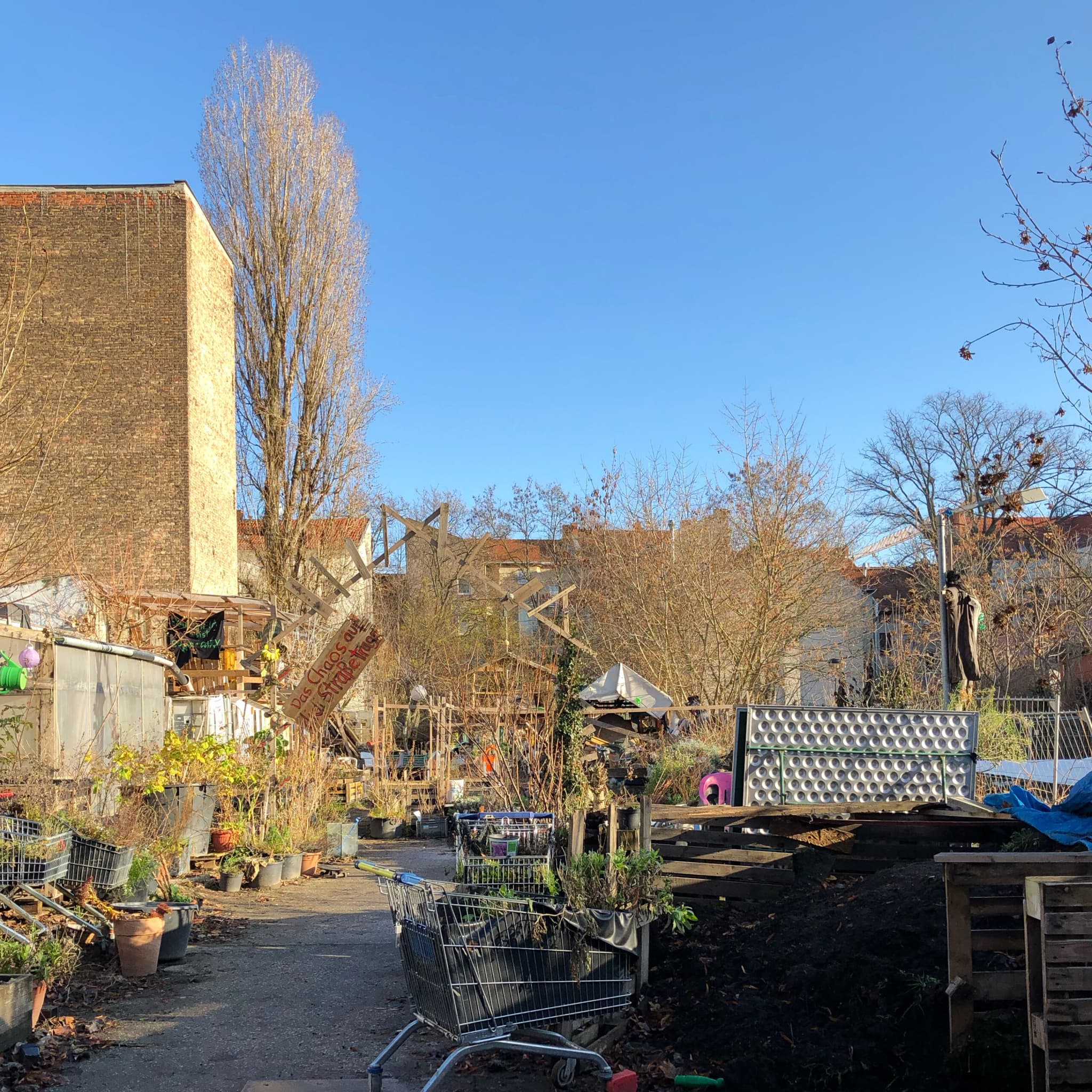 Prachttomaten community garden, Berlin Neukölln