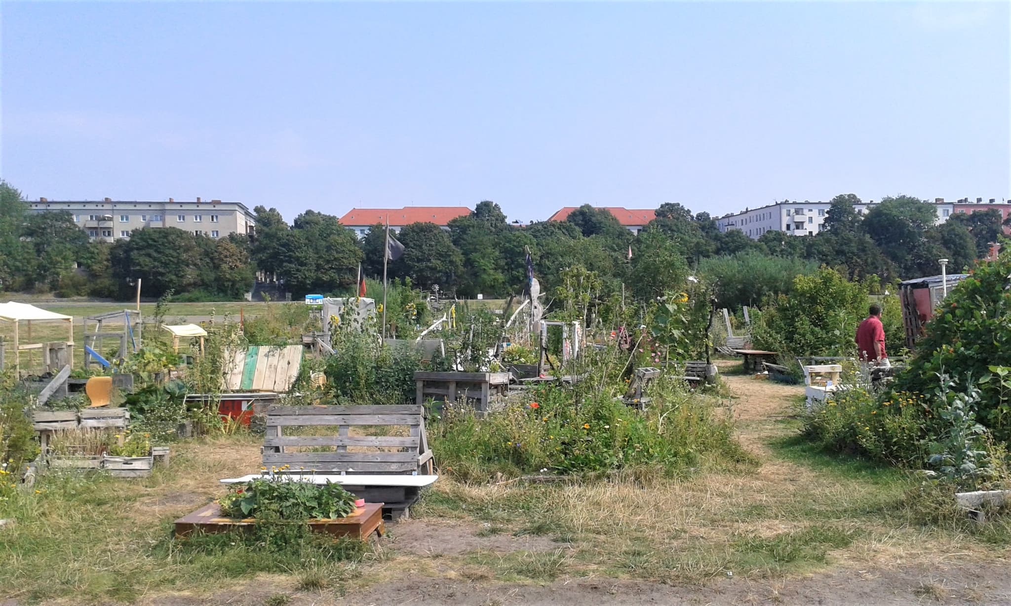 Allmende-Kontor community garden , Berlin Neukölln Author: Leonie Sommer