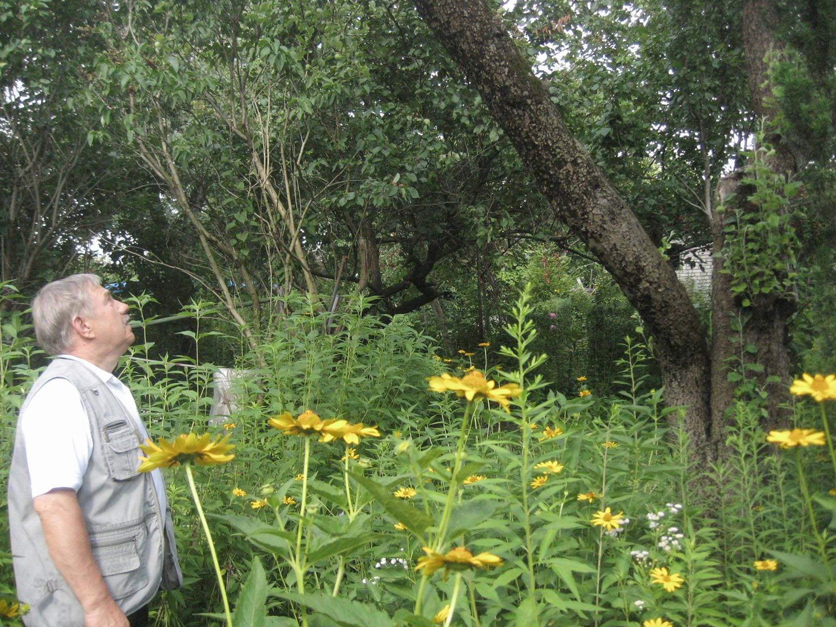 Creative collaborations in allotments