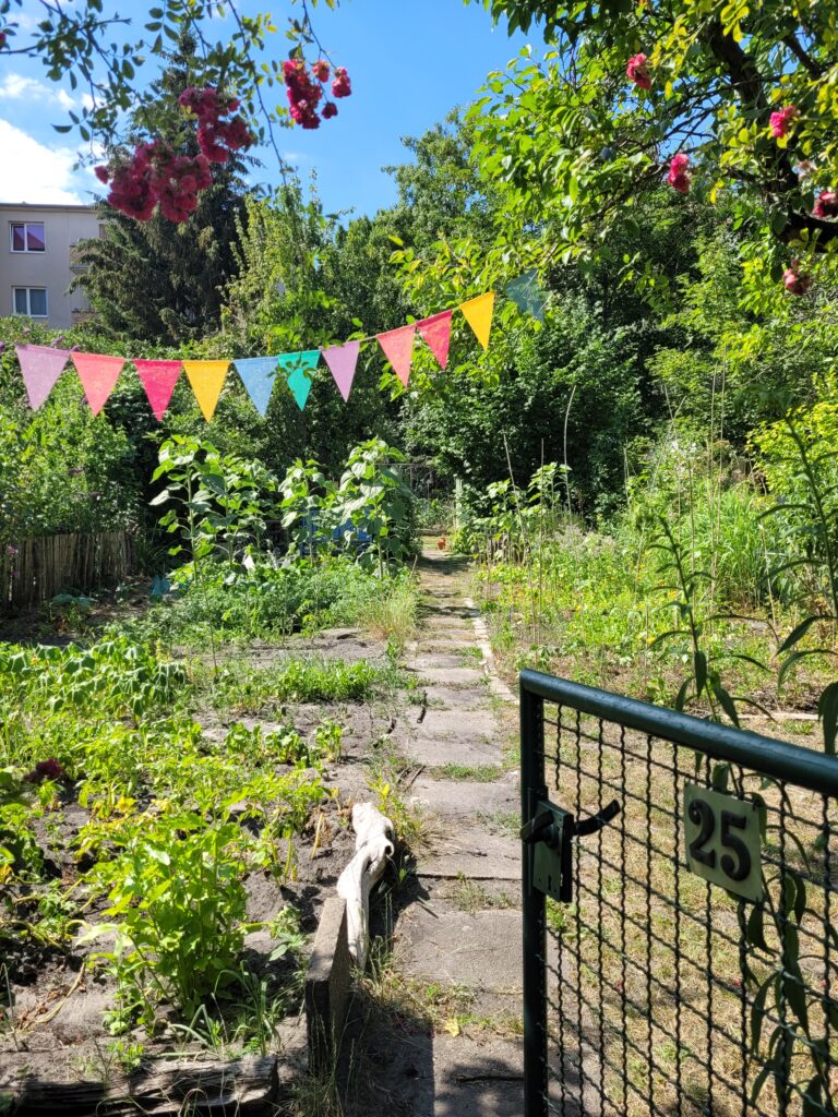 Community garden at Harztal-Wilde Rose allotment ©Elena Ferrari