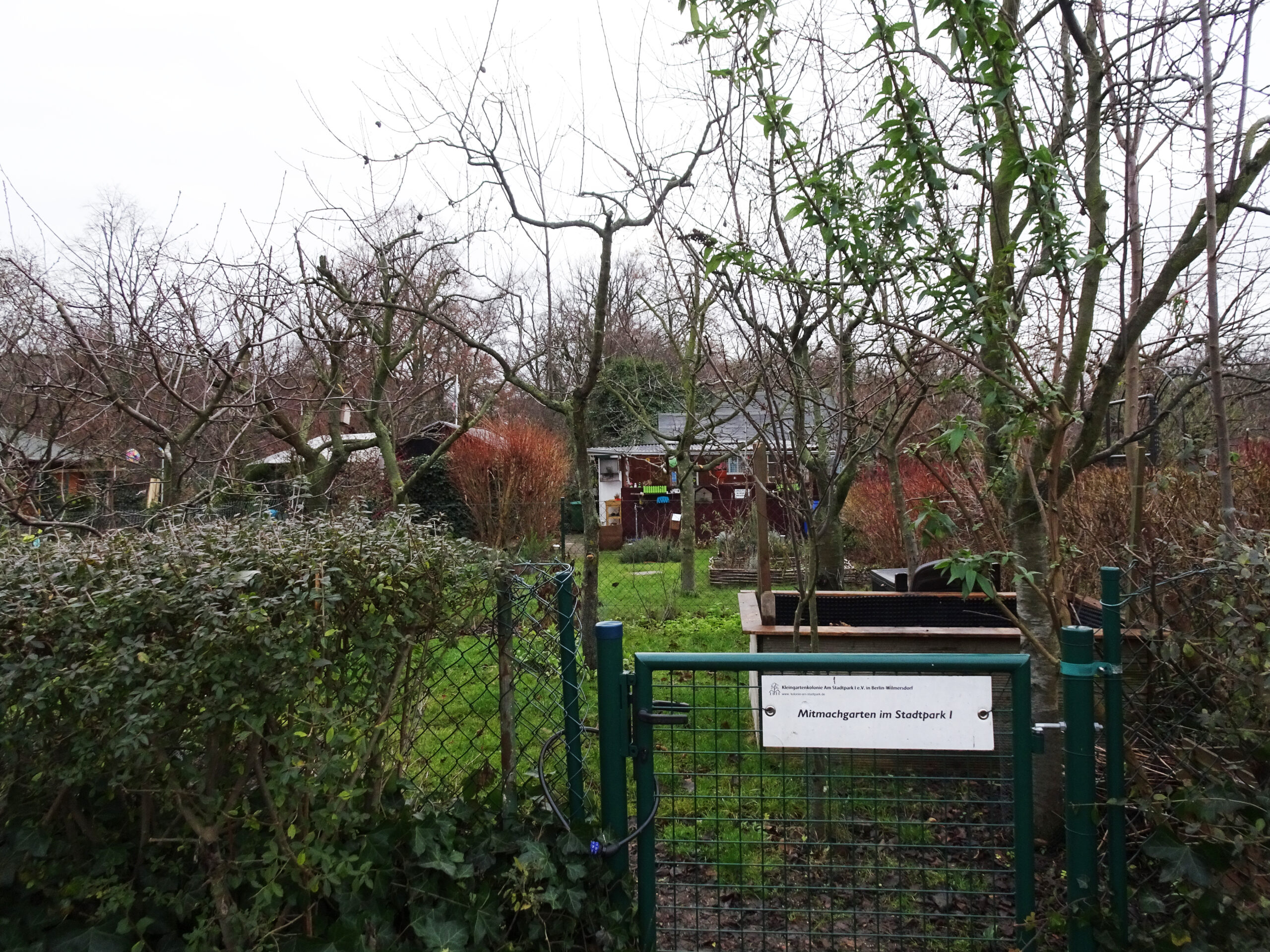 Am Stadtpark I allotment garden, Berlin