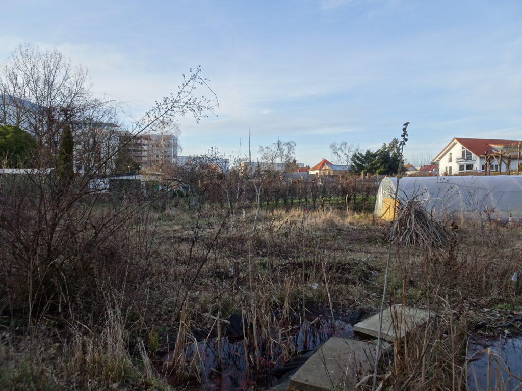 Peace of Land community garden, Berlin ©Elena Ferrari