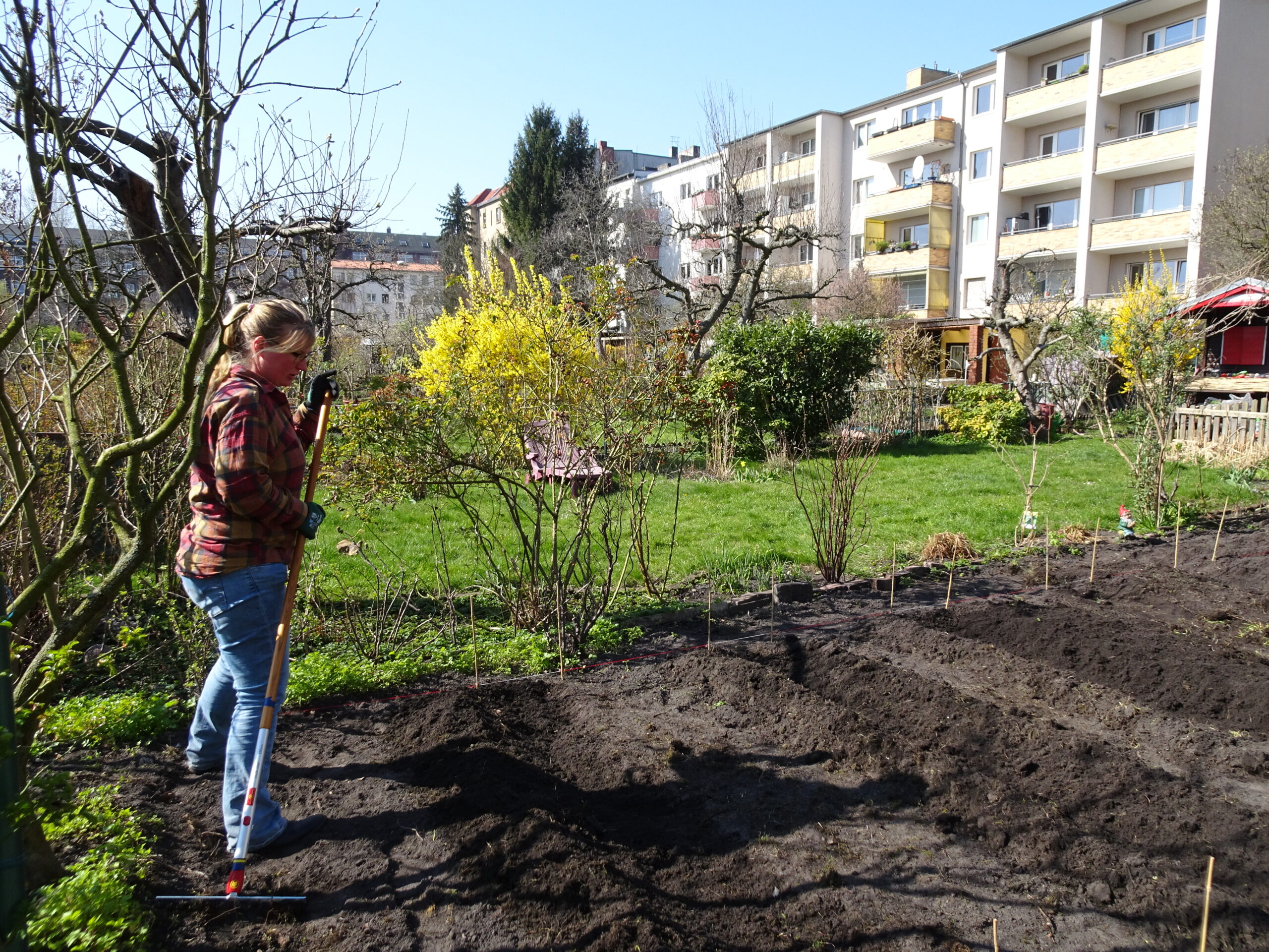 Experts from Gemüseackerdemie build part of the vegetable garden at Parzelle 25 in Harztal-Wilde Rose allotment garden, Berlin ©Elena Ferrari