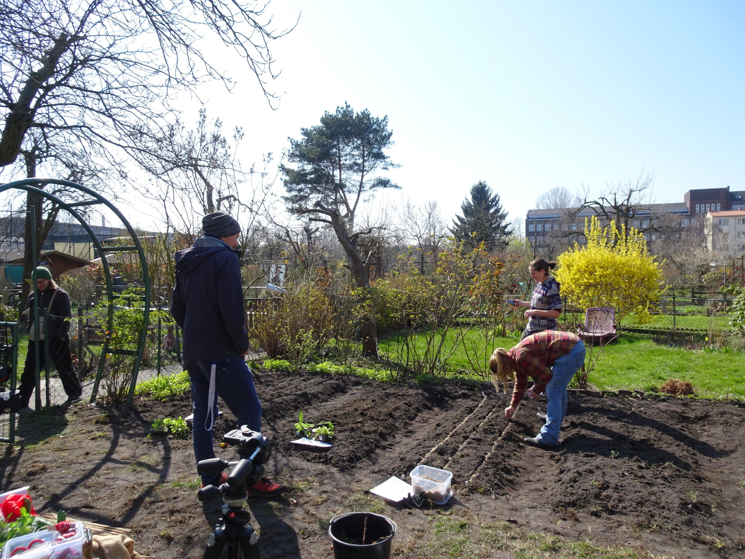 "Parzelle 25" at Harztal-Wilde Rose allotment, Berlin ©Elena Ferrari