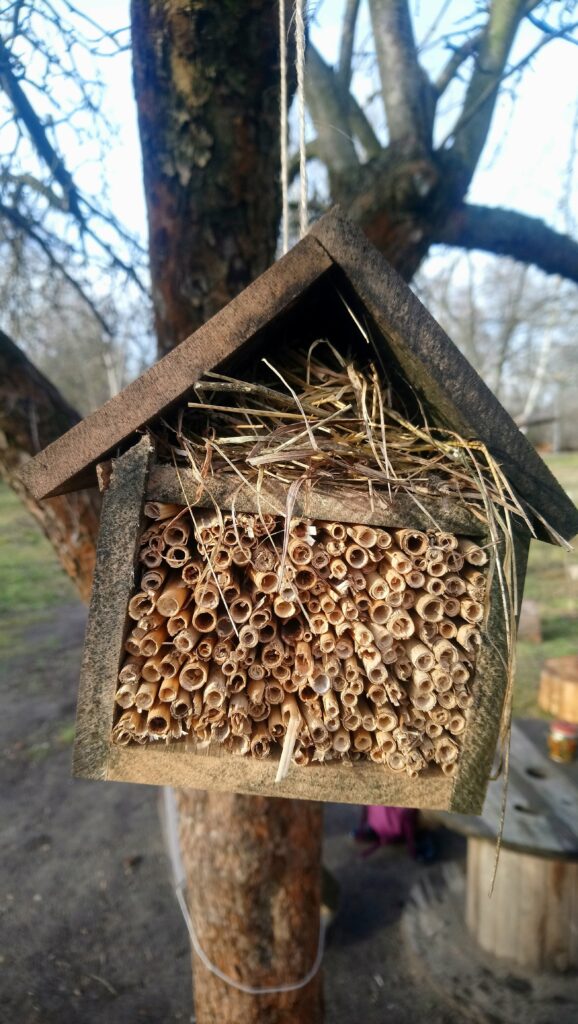 The garden is welcoming not only to human beings, but other as well: birds, hedgehogs and insects find homes in Fort Bema. author: Anna Dańkowska