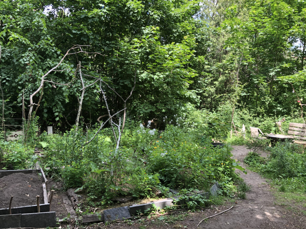 A garden of Neukölln, Berlin ©Elena Ferrari