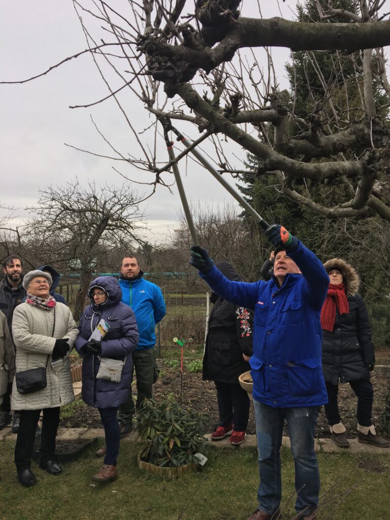 Pruning workshop