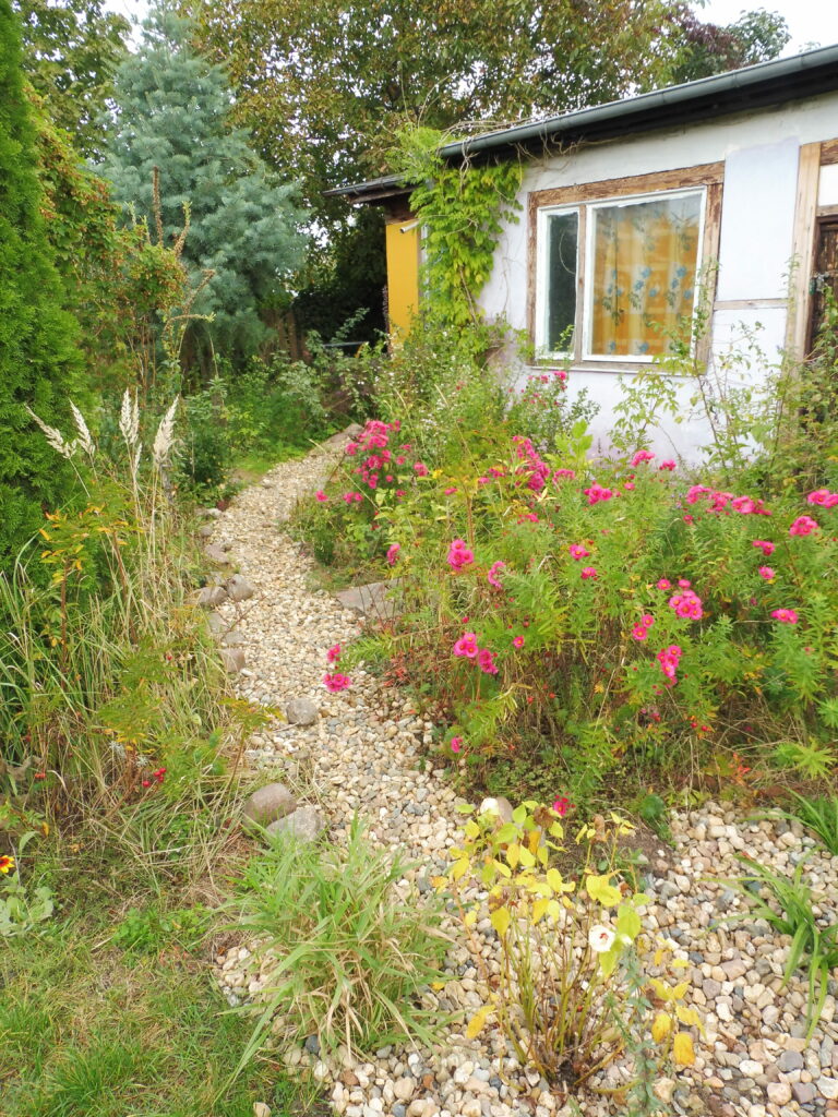 Rainwater garden next to the shed of Ołbiński Ogród Otwarty. ©Anna Dańkowska