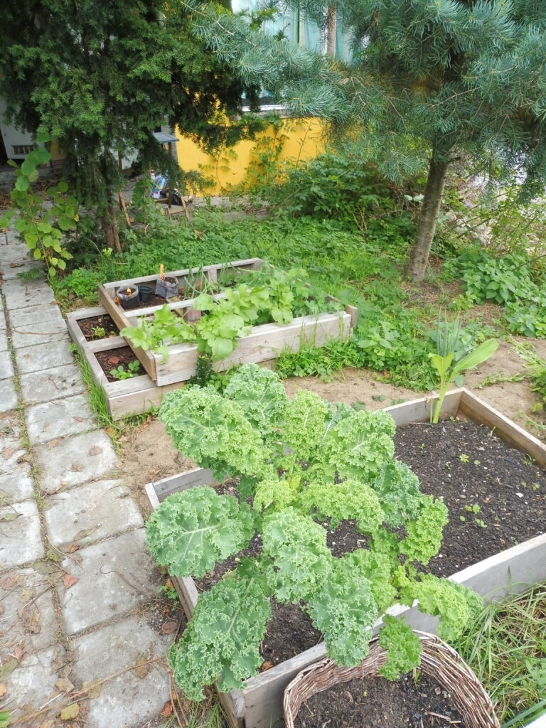 Vegetable beds in Ołbiński Ogród Otwarty that are taken care of by a neighbouring kindergarden ©Anna Dańkowska